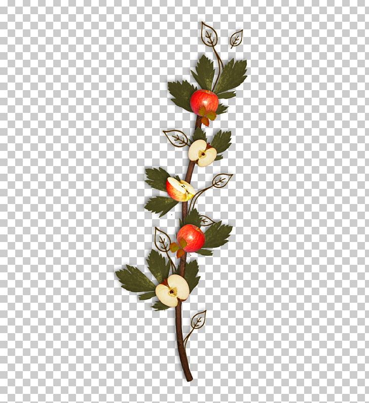 Apple Red PNG, Clipart, Apple Fruit, Apple Logo, Apple Red, Apple Tree, Branch Free PNG Download