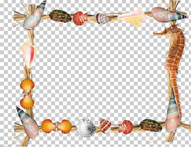 Seashell Scallop PNG, Clipart, Animals, Body Jewelry, Bracelet, Buddhahood, Computer Icons Free PNG Download