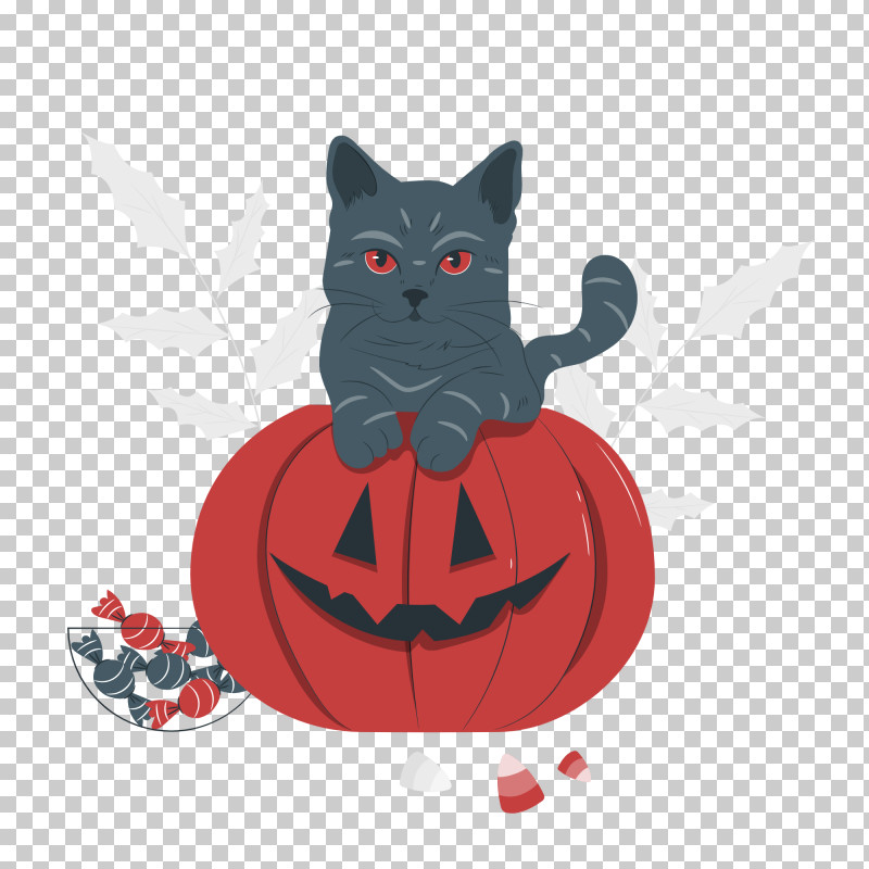 Halloween PNG, Clipart, American Shorthair, Biology, Black, Black Cat, Cat Free PNG Download