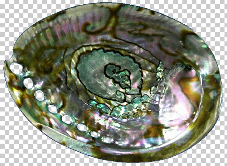 Abalone Jewellery Oyster Seashell Gemstone PNG, Clipart, Abalone, Animals, Computer Icons, Engraving, Gemstone Free PNG Download