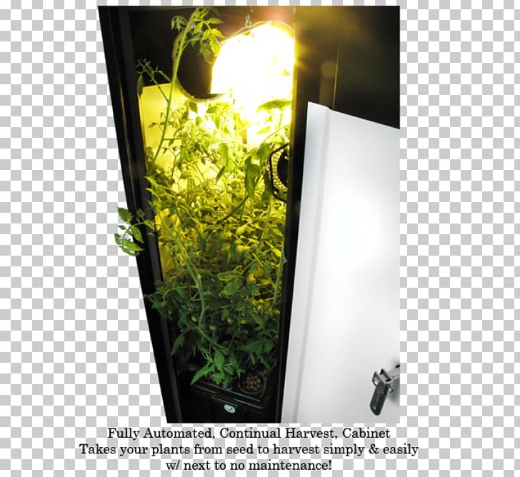 Grow Box Soil Garden Herb Flowerpot Png Clipart Cabinetry
