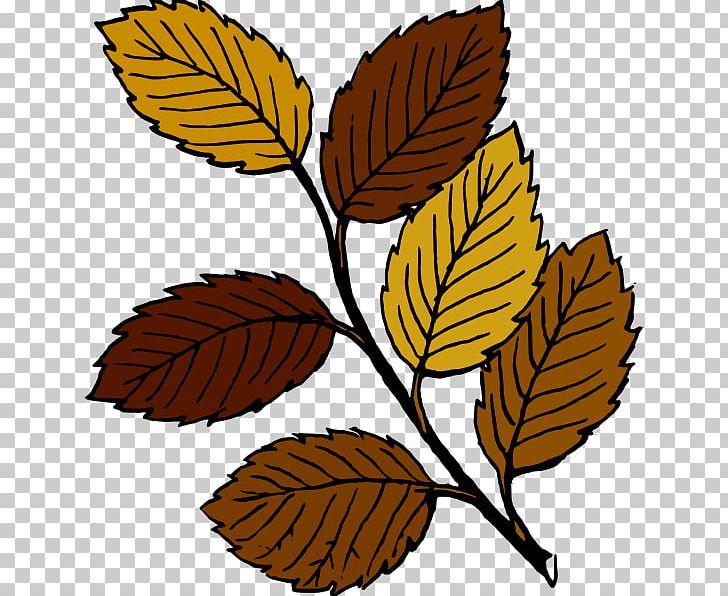 Autumn Leaf Color PNG, Clipart, Autumn, Autumn Leaf Color, Blog, Branch, Cartoon Fall Leaf Free PNG Download