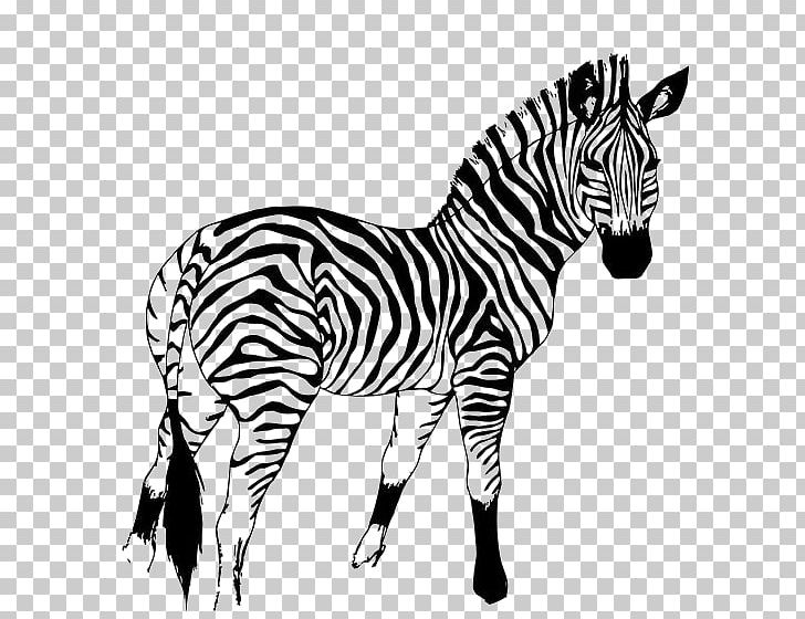 Quagga Horse Mountain Zebra PNG, Clipart, Animal, Animals, Art, Big Cats, Black Free PNG Download