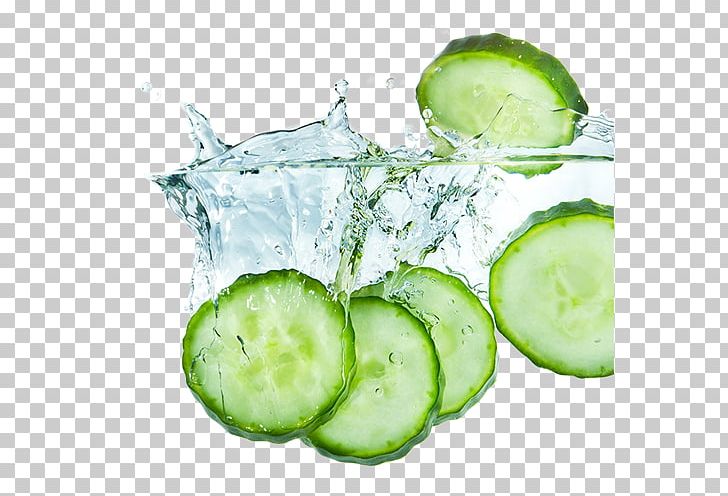Cucumber Distilled Water Stock Photography Vegetable PNG, Clipart, Cucumber, Cucumber Gourd And Melon Family, Cucumber Juice, Cucumis, Distilled Water Free PNG Download