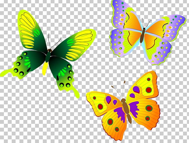 Monarch Butterfly Euclidean PNG, Clipart, Animal, Animals, Anime Character, Brush Footed Butterfly, Color Free PNG Download
