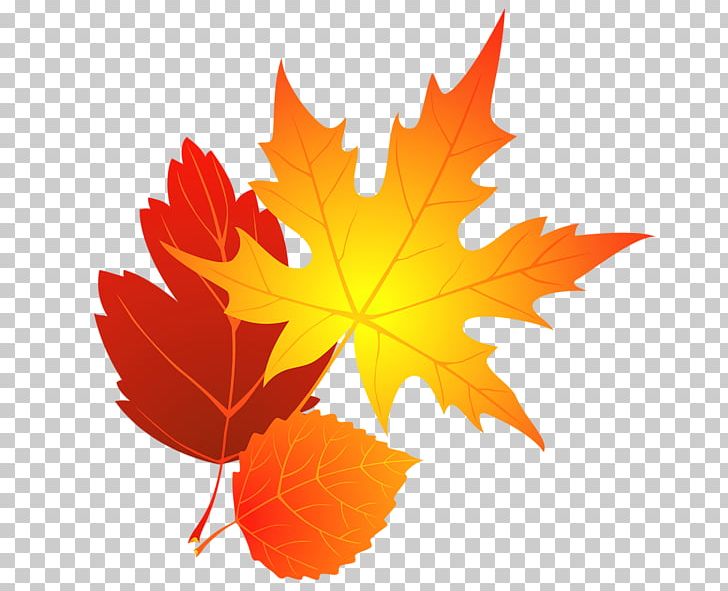 Autumn Leaf Color Maple Leaf PNG, Clipart, Autumn, Autumn Leaf Color, Autumn Leaves Cliparts, Blog, Color Free PNG Download
