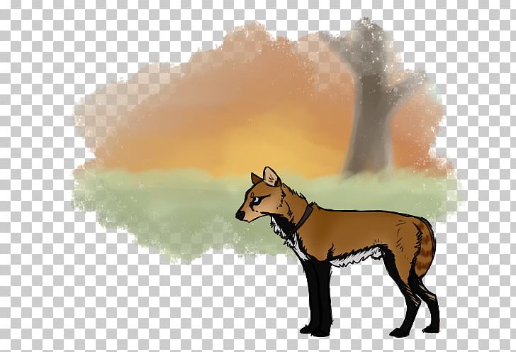 Dog Breed Dingo Red Fox Cartoon PNG, Clipart, Animals, Animated Cartoon, Breed, Carnivoran, Cartoon Free PNG Download