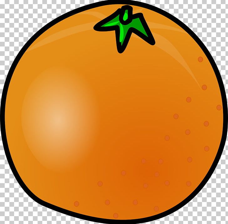 Food Orange Presentation PNG, Clipart, Area, Circle, Document, Download, Food Free PNG Download