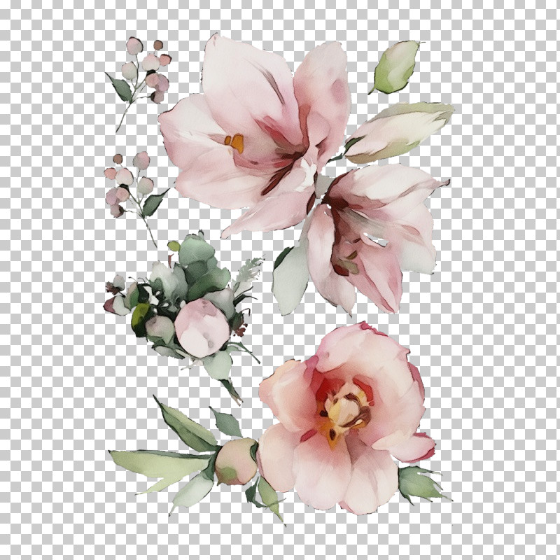Flower Pink Petal Plant Cut Flowers PNG, Clipart, Blossom, Bouquet, Branch, Cut Flowers, Flower Free PNG Download