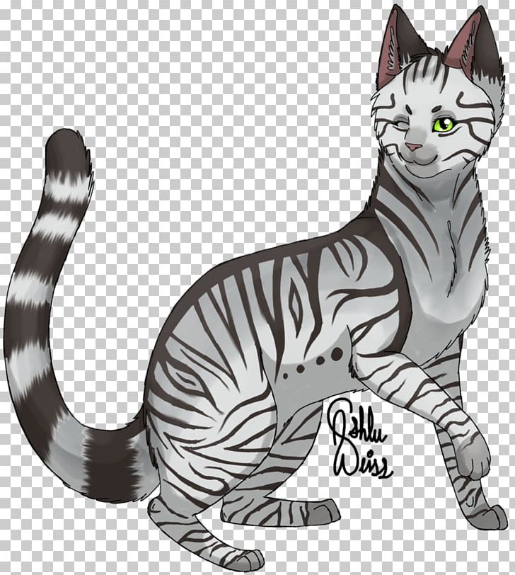 American Wirehair American Shorthair Sokoke Whiskers Domestic Short-haired Cat PNG, Clipart, Animals, Big Cats, Carnivoran, Cat, Cat Like Mammal Free PNG Download