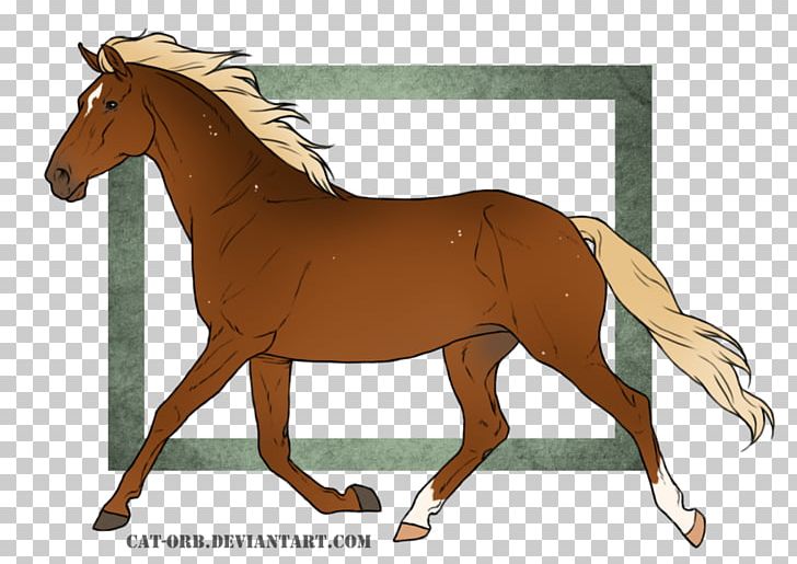 Foal Mane Rein Stallion Mare PNG, Clipart, Bridle, Colt, English Riding, Equestrian, Foal Free PNG Download
