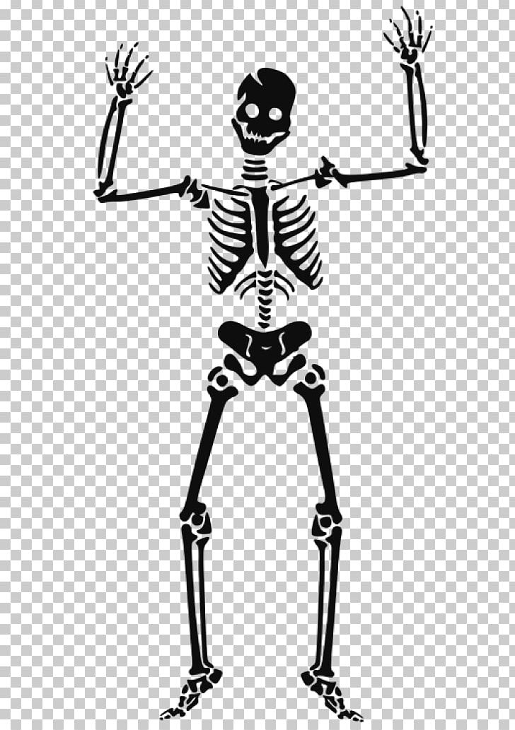 Human Skeleton Skull PNG, Clipart, Black And White, Bone, Computer Icons, Fantasy, Halloween Free PNG Download