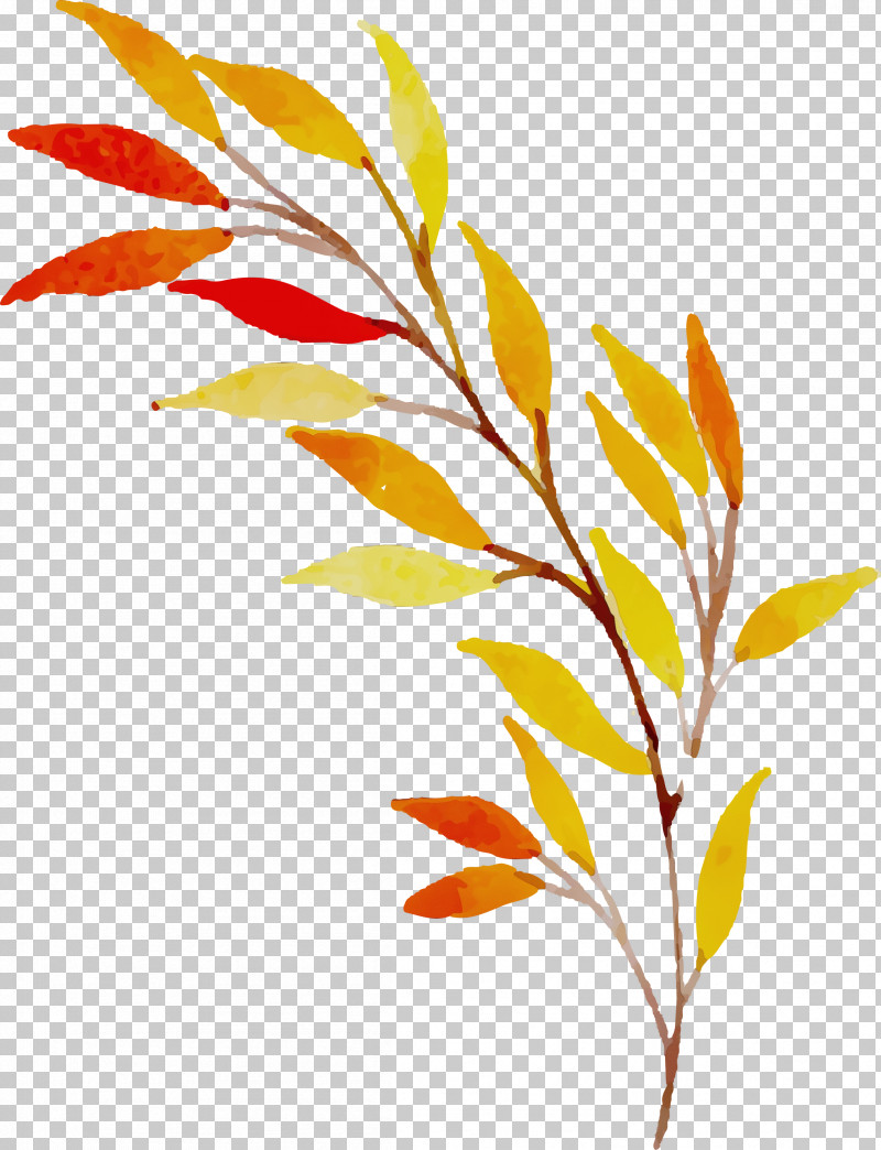 Twig Plant Stem Leaf Grasses Flower PNG, Clipart, Autumn Leaf, Biology, Colorful Leaf, Commodity, Flower Free PNG Download