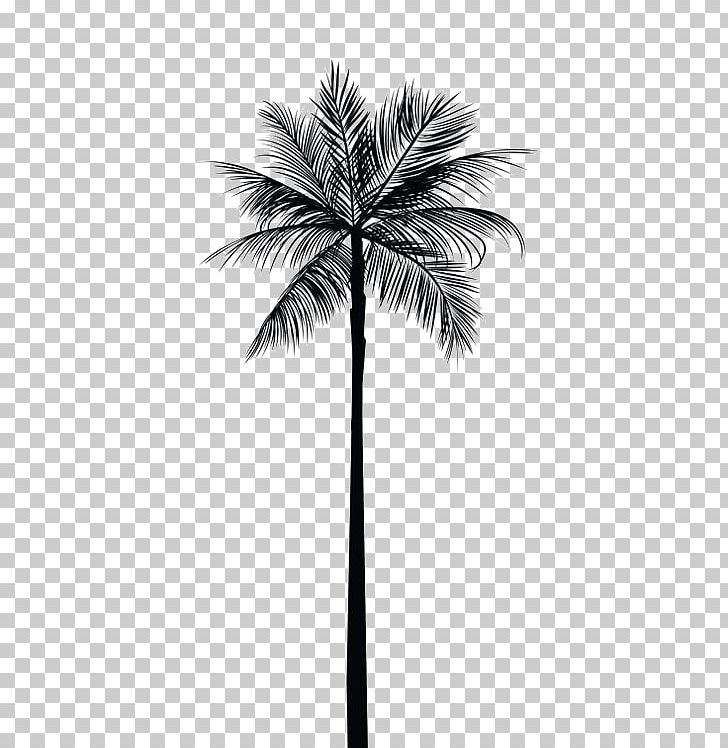 Arecaceae Tree Gold Palm Branch Wall Decal PNG, Clipart, Abziehtattoo, Arecales, Autumn Tree, Black And White, Borassus Flabellifer Free PNG Download