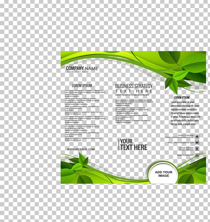 Brochure Adobe Illustrator Computer File PNG, Clipart, Adobe Illustrator, Advertising, Border, Brand, Brochure Free PNG Download