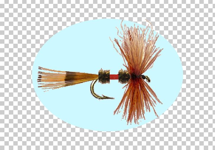 Insect Artificial Fly PNG, Clipart, Artificial Fly, Fishing Bait, Fly, Fly Tying, Insect Free PNG Download