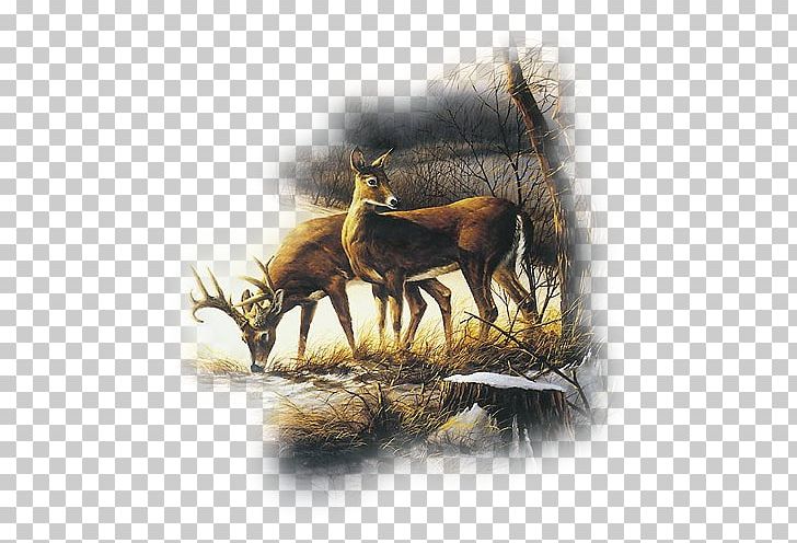 Painting Deer Art Elk Drawing PNG, Clipart, Abstract Art, Animal, Antler, Art, Artist Free PNG Download