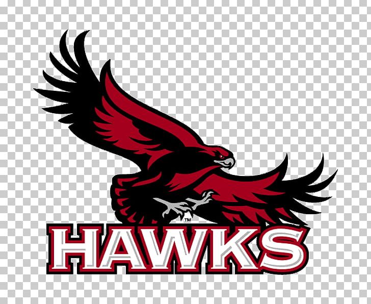 Saint Joseph's University Saint Joseph's Hawks Men's Basketball Saint Joseph's Hawks Women's Basketball Saint Joseph's Hawks Baseball La Salle Explorers Men's Basketball PNG, Clipart,  Free PNG Download