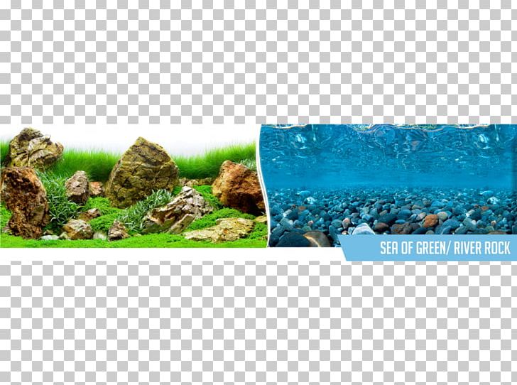 Sea Of Thieves Plastic Aquarium Ecosystem Polyvinyl Chloride PNG, Clipart, Aquarium, Basket, Com, Ecosystem, Grass Free PNG Download