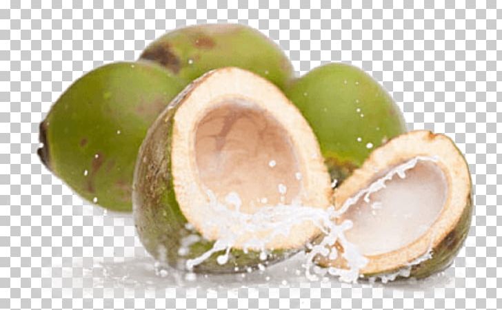 Coconut Water Juice Sports & Energy Drinks Smoothie PNG, Clipart, Alcoholic Beverages, Coconut, Coconut Water, Commodity, Drink Free PNG Download