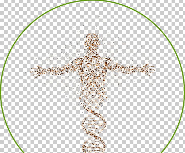 DNA Human Genome Cell Science Homo Sapiens PNG, Clipart, Biology, Body Jewelry, Cell, Circle, Dna Free PNG Download
