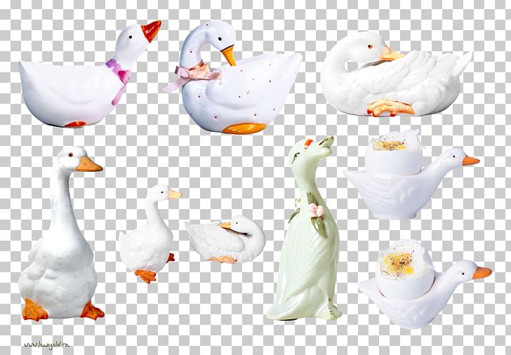 Duck Animal Flightless Bird PNG, Clipart, Animal, Animal Figure, Animals, Beak, Bird Free PNG Download