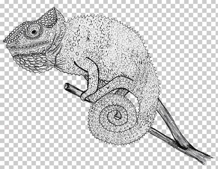 Chameleons Line Art Iguanomorpha Drawing Reptile PNG, Clipart, Artwork, Black And White, Cartoon, Chameleons, Colored Pencil Free PNG Download