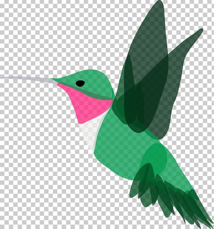 Beak Hummingbird M Leaf PNG, Clipart, Beak, Bird, Fauna, Green, Hummingbird Free PNG Download