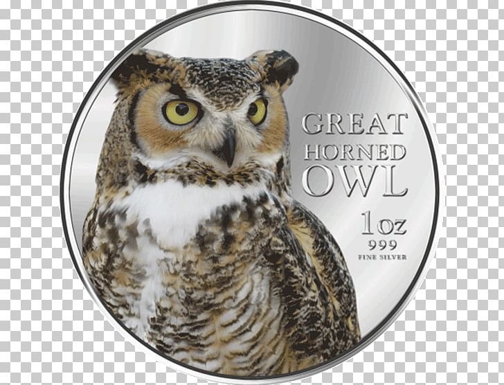 Great Horned Owl Bird Of Prey Beak PNG, Clipart, Animal, Beak, Bird, Bird Of Prey, Coin Free PNG Download