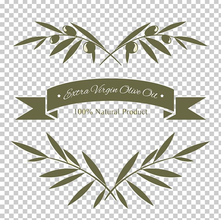 Olive Branch Olive Oil PNG, Clipart, Adobe Icons Vector, Branch, Brand, Camera Icon, Cartoon Free PNG Download