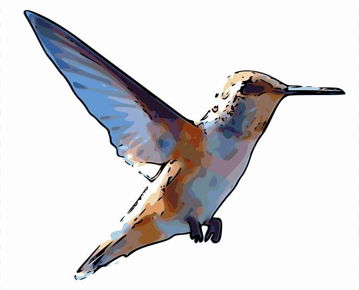 Rufous Hummingbird PNG, Clipart, Animal, Animals, Beak, Bird, Blanket Free PNG Download