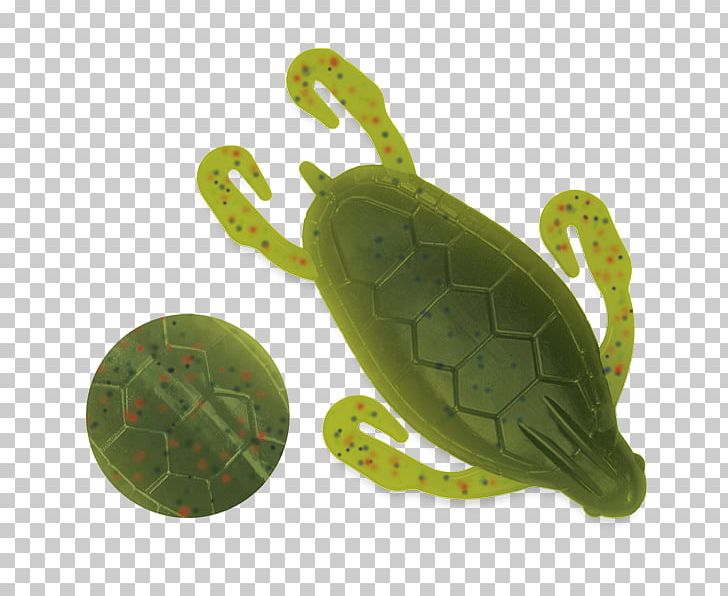 Sea Turtle Fishing Baits & Lures Soft Plastic Bait PNG, Clipart, Angling, Animals, Bait, Bombshell, Color Free PNG Download