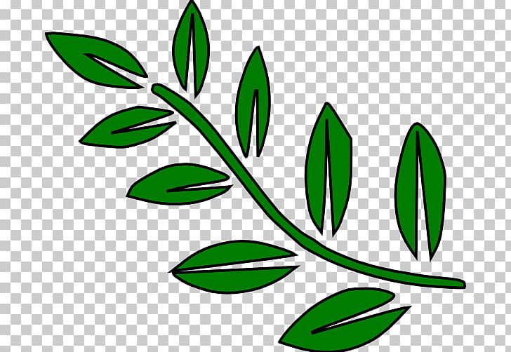 Branch Leaf Tree PNG, Clipart, Bay Laurel, Black And White, Branch, Branches Cliparts, Download Free PNG Download