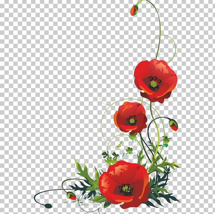 Common Poppy Remembrance Poppy PNG, Clipart, Can Stock Photo, Coquelicot, Cut Flowers, Drawing, Flora Free PNG Download