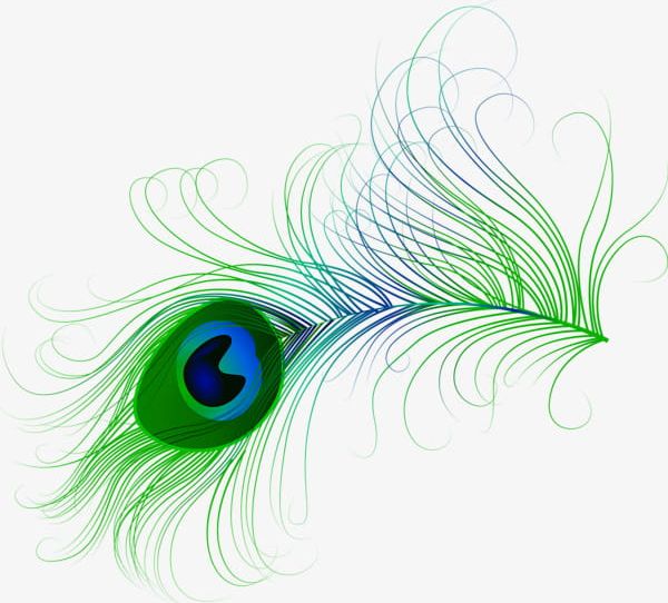 Hand-painted Peacock Feathers PNG, Clipart, Abstract, Animal, Animal Hair, Backgrounds, Colored Free PNG Download