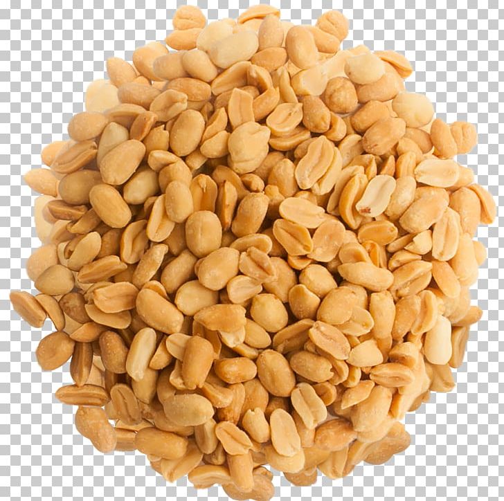 Peanut PNG, Clipart, Peanut Free PNG Download