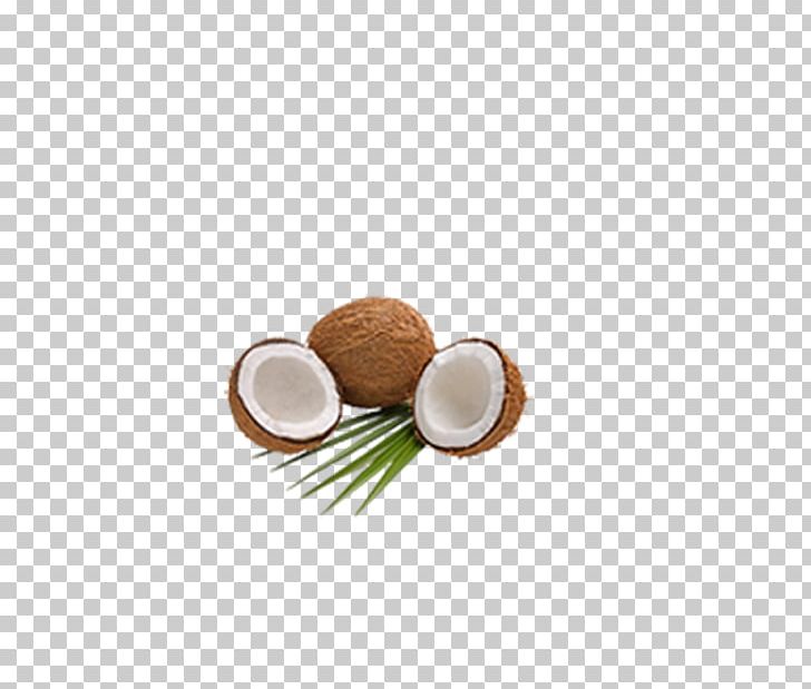 Coconut Milk Powder Coconut Water Manufacturing PNG, Clipart, Animal Feed, Coconut, Coconut , Coconut Leaf, Coconut Leaves Free PNG Download