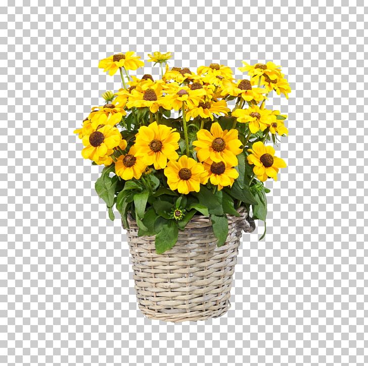 Common Sunflower Floral Design Transvaal Daisy Cut Flowers Chrysanthemum PNG, Clipart, Annual Plant, Artificial Flower, Chrysanthemum, Chrysanths, Common Sunflower Free PNG Download