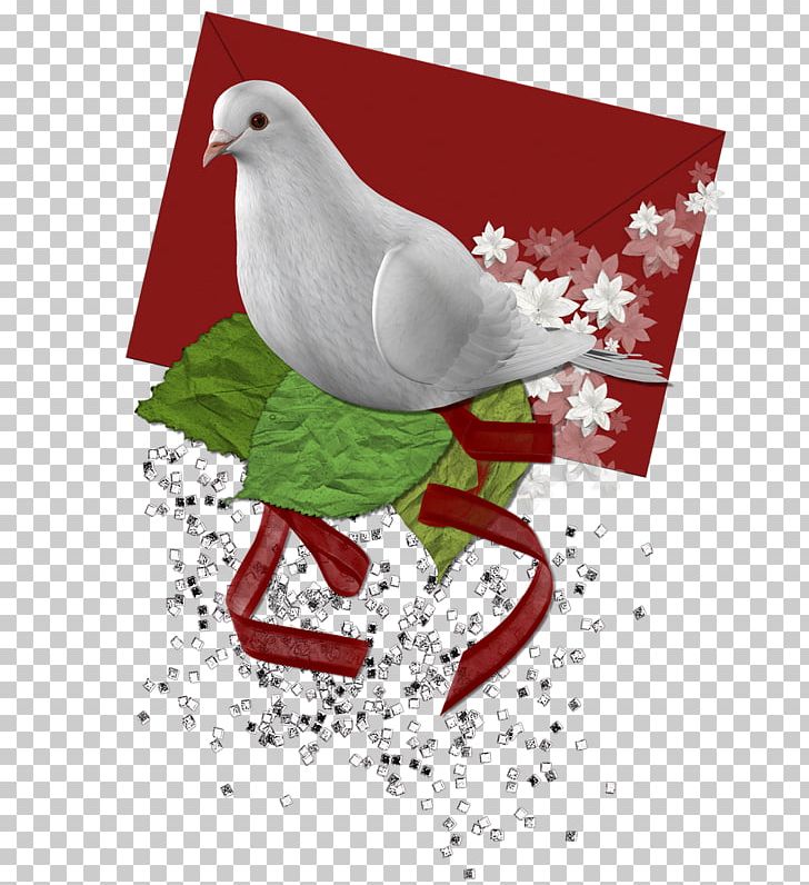 Branch Others Bird PNG, Clipart, Art, Beak, Bird, Branch, Christmas Free PNG Download