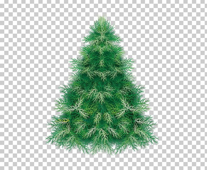 Pine Christmas Tree Spruce PNG, Clipart, Christmas, Christmas Border, Christmas Decoration, Christmas Frame, Christmas Lights Free PNG Download
