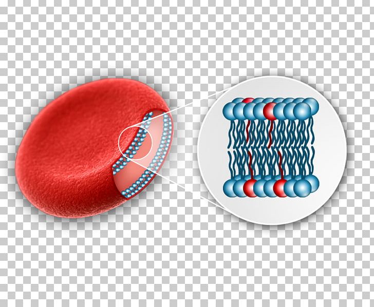 Blood Test Acid Gras Omega-3 Red Blood Cell Blood Type PNG, Clipart, Arterial Line, Blood, Blood Test, Blood Type, Cell Free PNG Download