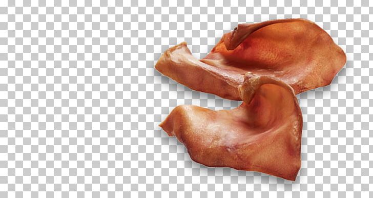 Dog Pig's Ear Cat Raw Feeding Puppy PNG, Clipart,  Free PNG Download
