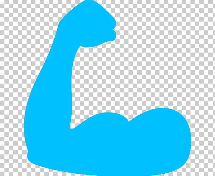 Muscle Computer Icons General Fitness Training PNG, Clipart, Aqua, Area, Azure, Beak, Blog Free PNG Download