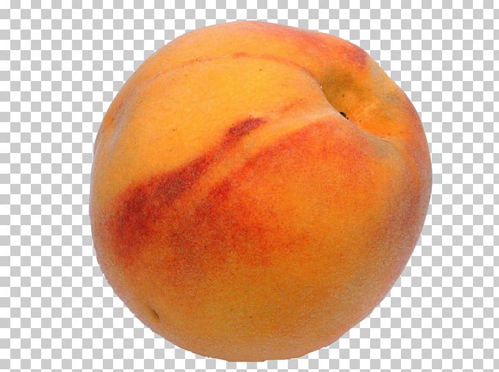 Peach Apricot Chilling Requirement Fruit Tree Monilinia Fructicola PNG, Clipart, Apricot, Augusta, Bearing, Chilling Requirement, Crop Free PNG Download
