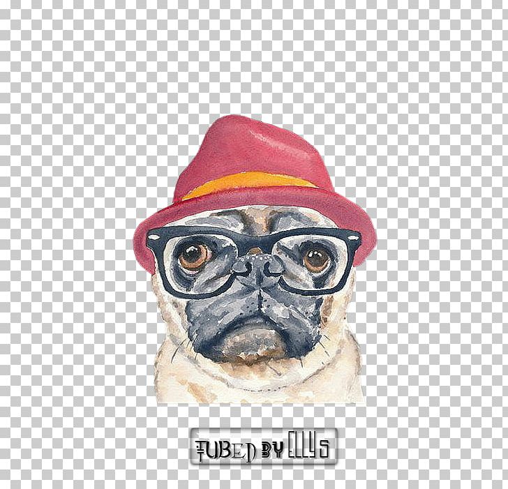 Pug Shar Pei Puppy Beagle Cat PNG, Clipart, Animals, Art, Beagle, Carnivoran, Cat Free PNG Download