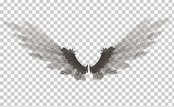 Wing Feather Bethor Digital Art PNG, Clipart, Angel, Animals, August 21, Beak, Bethor Free PNG Download