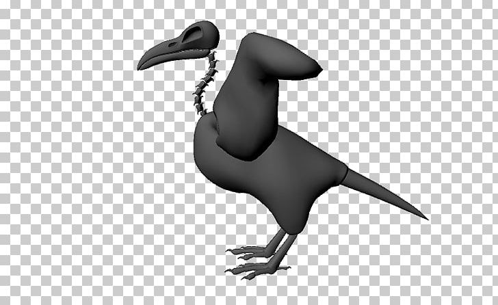 Beak Water Bird White Wildlife PNG, Clipart, Beak, Bird, Black And White, Fauna, Organism Free PNG Download