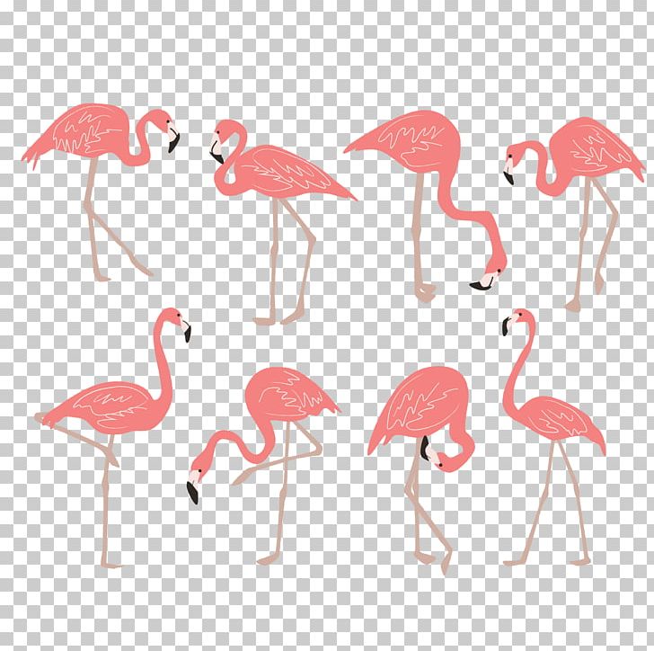 Flamingo Drawing PNG, Clipart, Adobe Illustrator, Animals, Art, Beak, Bird Free PNG Download