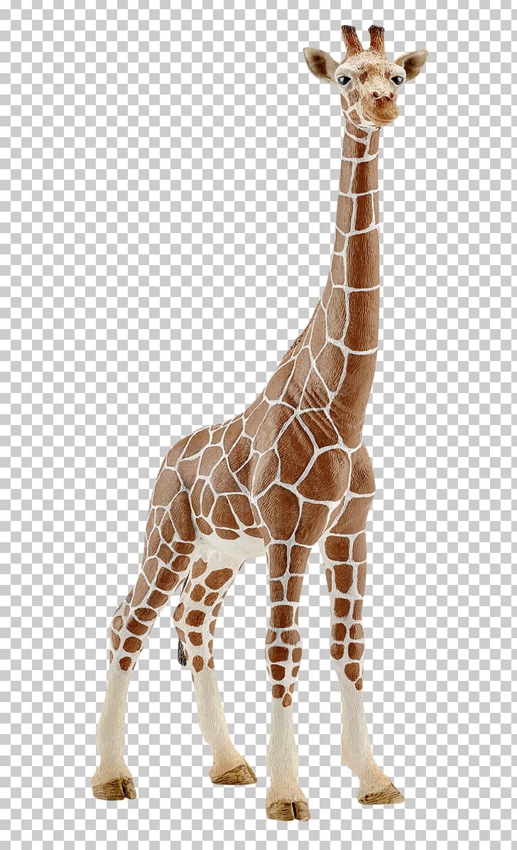 Giraffe Schleich Calf Amazon.com Toy PNG, Clipart, Action Toy Figures, Amazon.com, Amazoncom, Animal Figure, Animal Figurine Free PNG Download