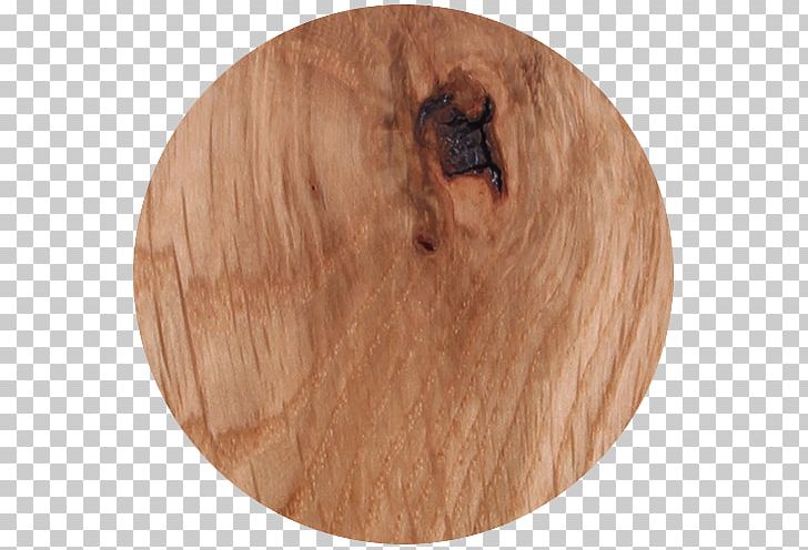 Wood /m/083vt Snout PNG, Clipart, Floor, Hardwood, Hickory, M083vt, Nature Free PNG Download